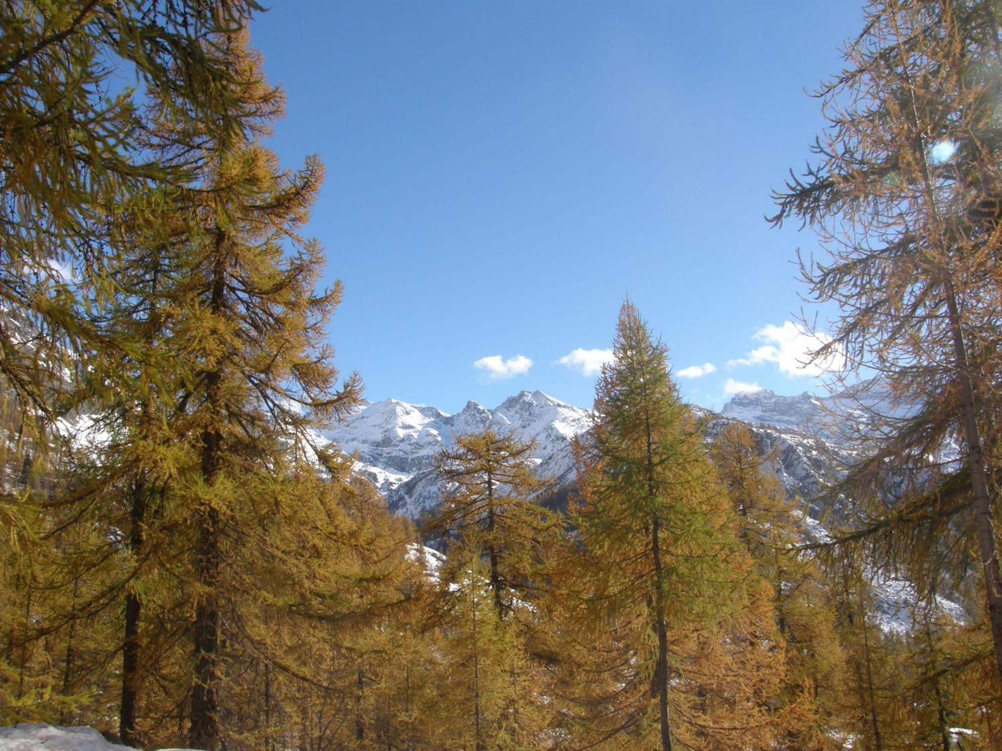 Hotel Gran Baita Gressoney-Saint-Jean Εξωτερικό φωτογραφία