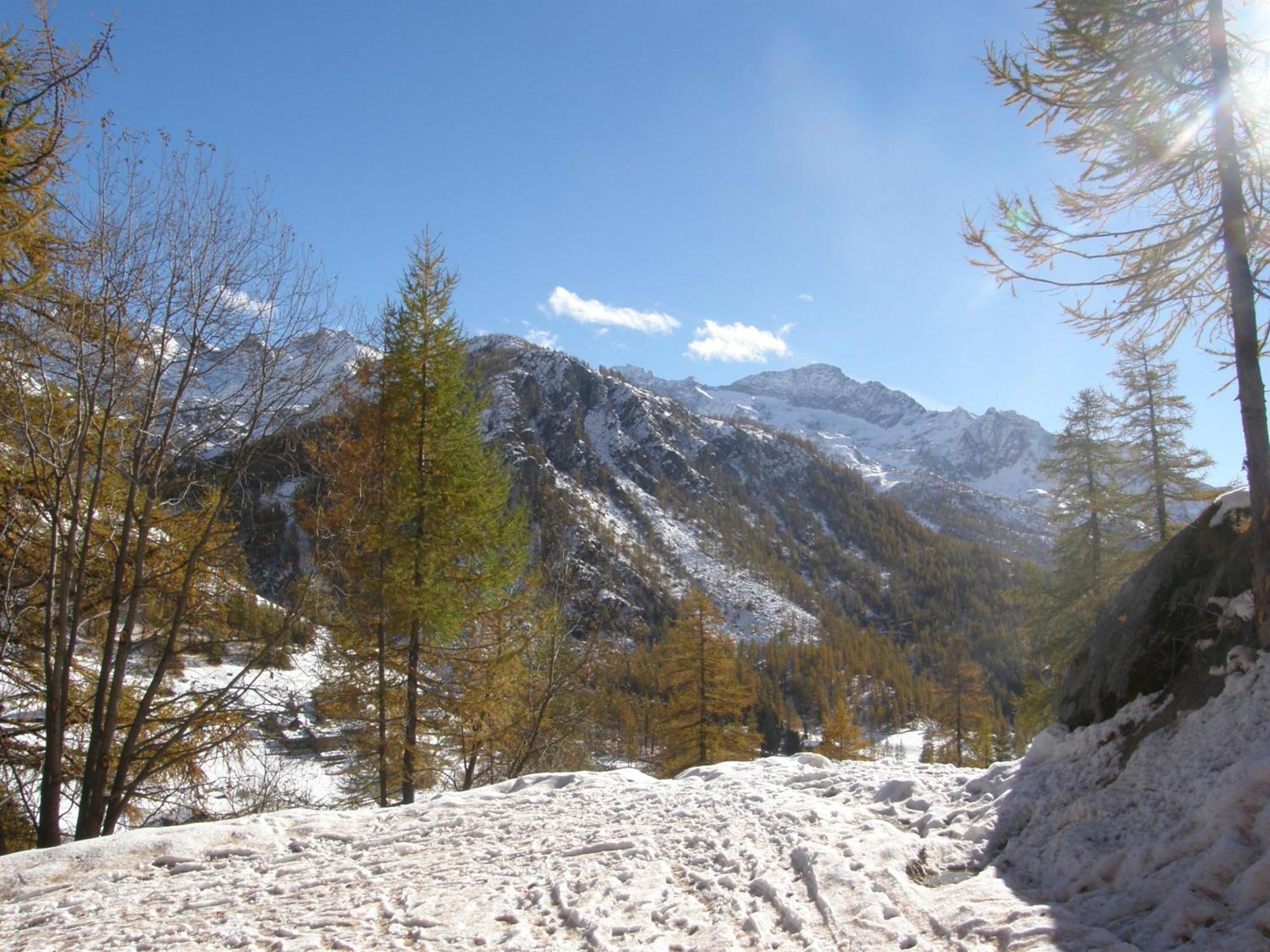 Hotel Gran Baita Gressoney-Saint-Jean Εξωτερικό φωτογραφία