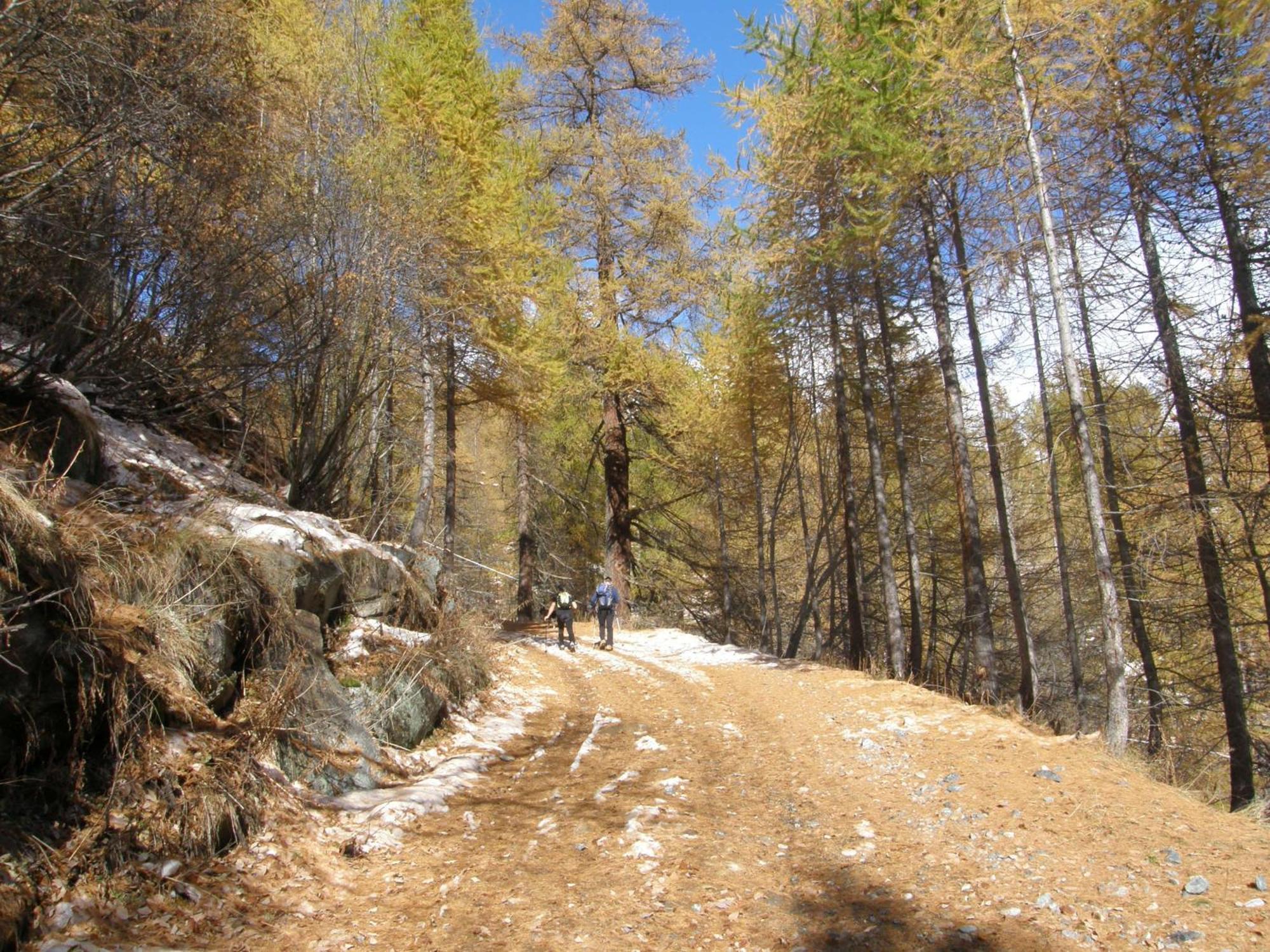 Hotel Gran Baita Gressoney-Saint-Jean Εξωτερικό φωτογραφία