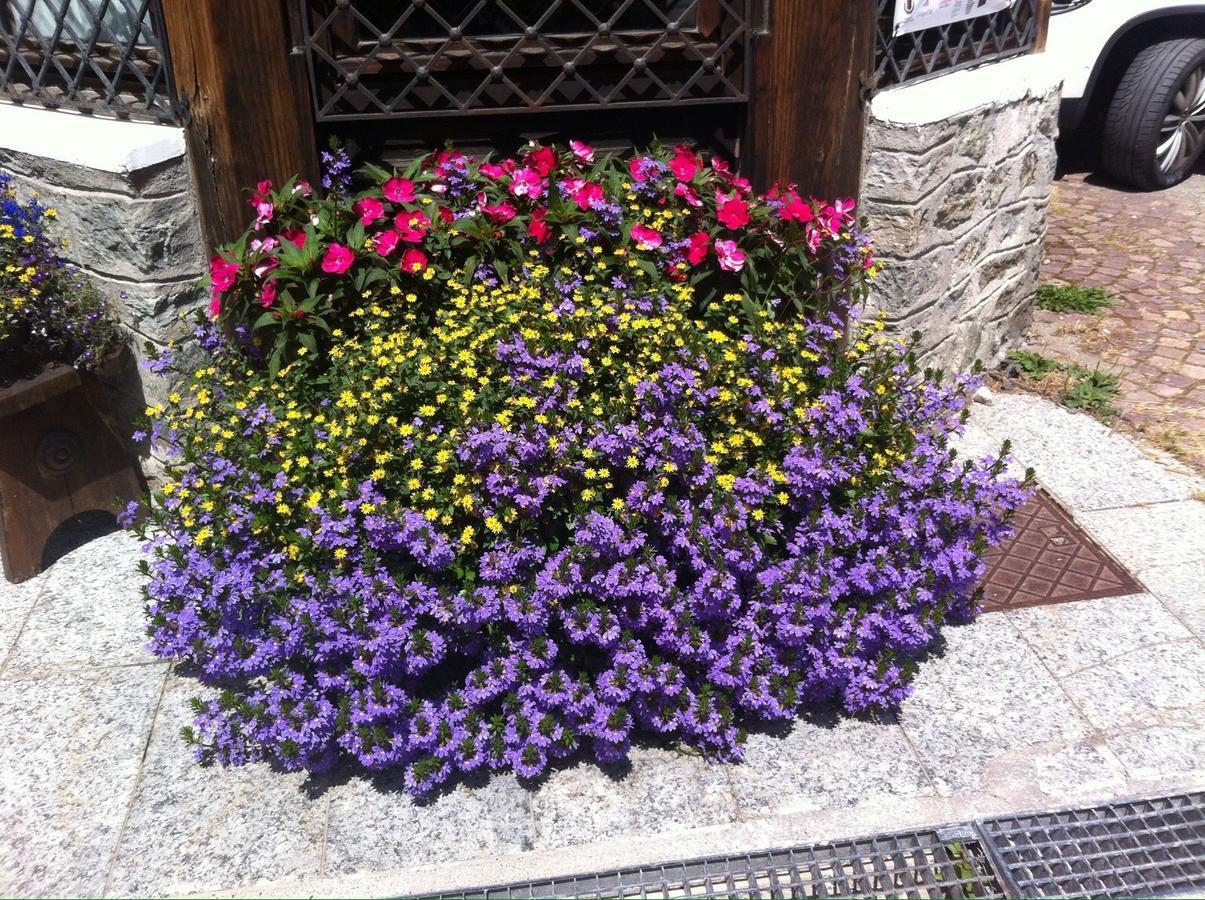 Hotel Gran Baita Gressoney-Saint-Jean Εξωτερικό φωτογραφία