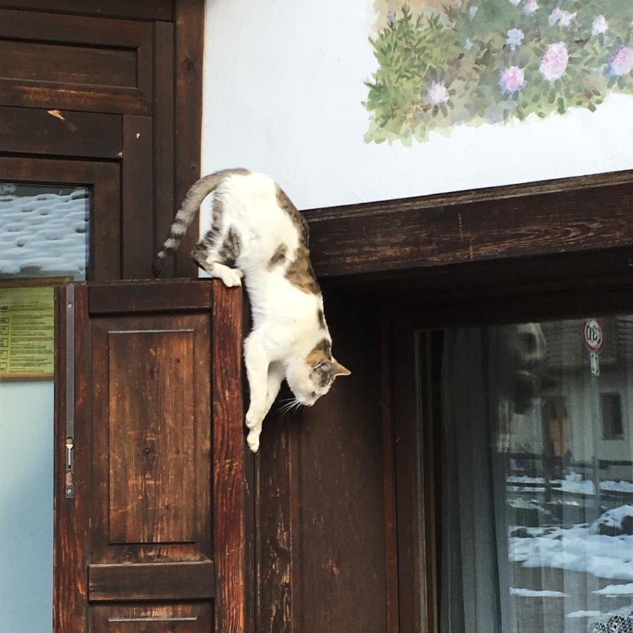 Hotel Gran Baita Gressoney-Saint-Jean Εξωτερικό φωτογραφία